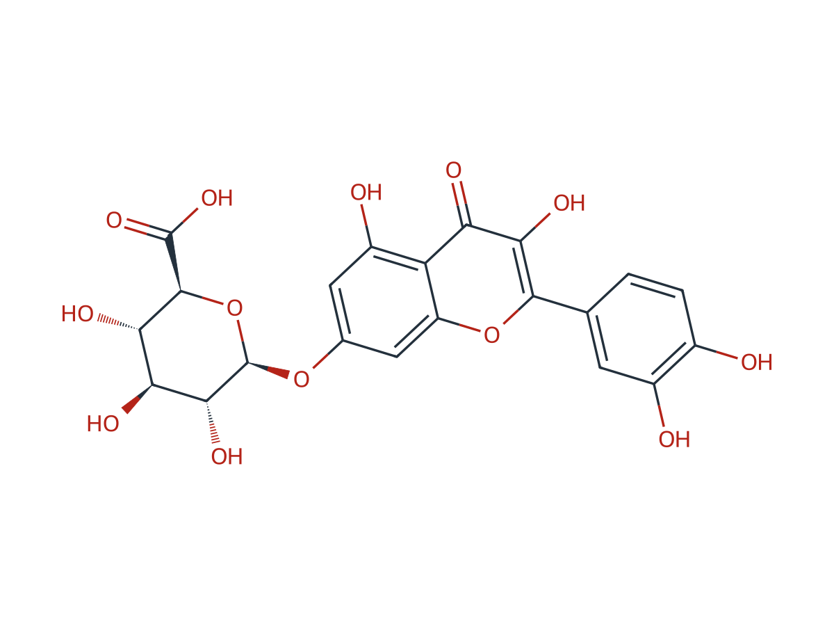 Quercetin-7-O-glucuronide chemical structure