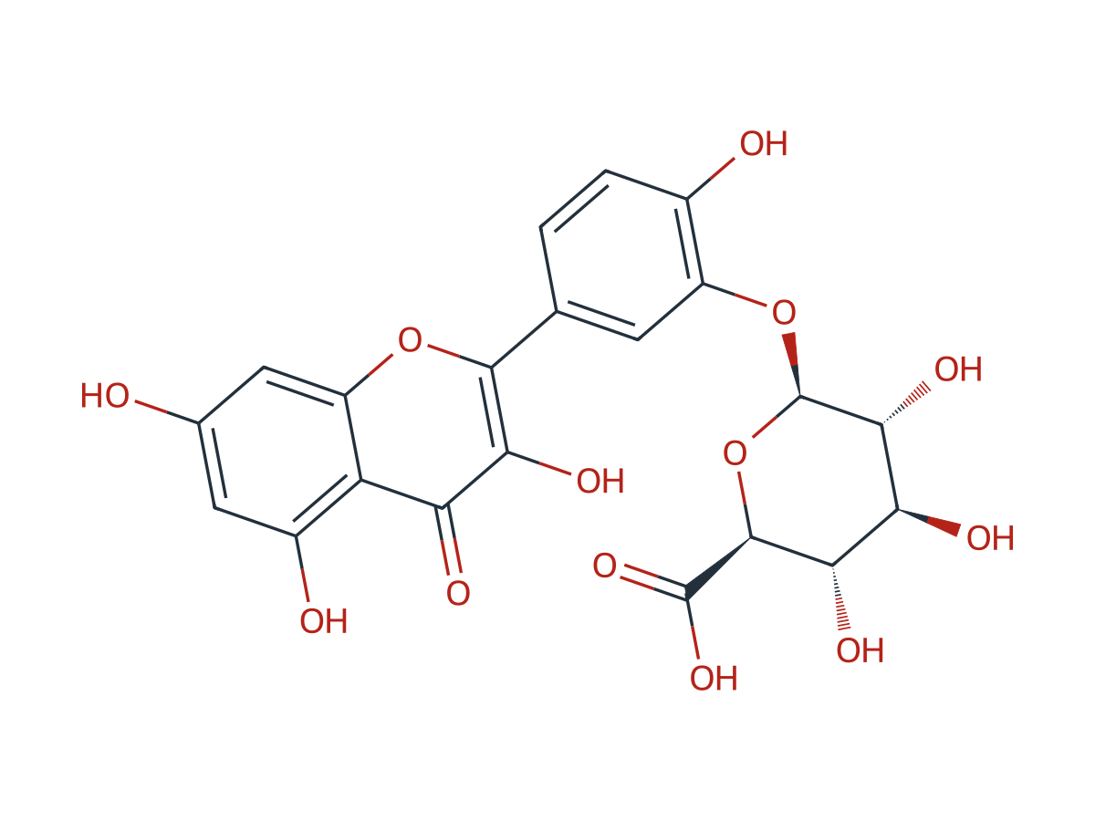 Quercetin-3 '- O-glucuronide chemical structure