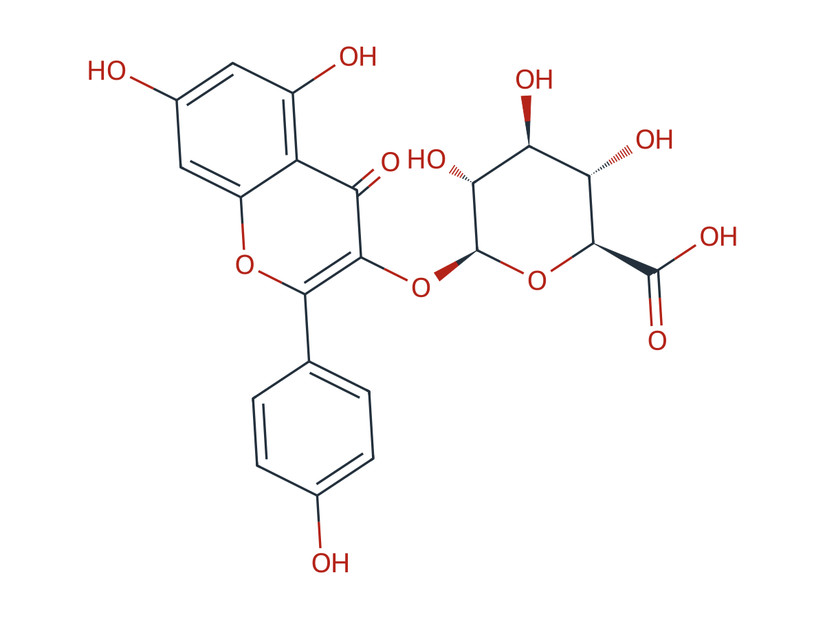 Kaempferol-3-Glucuronide chemical structure