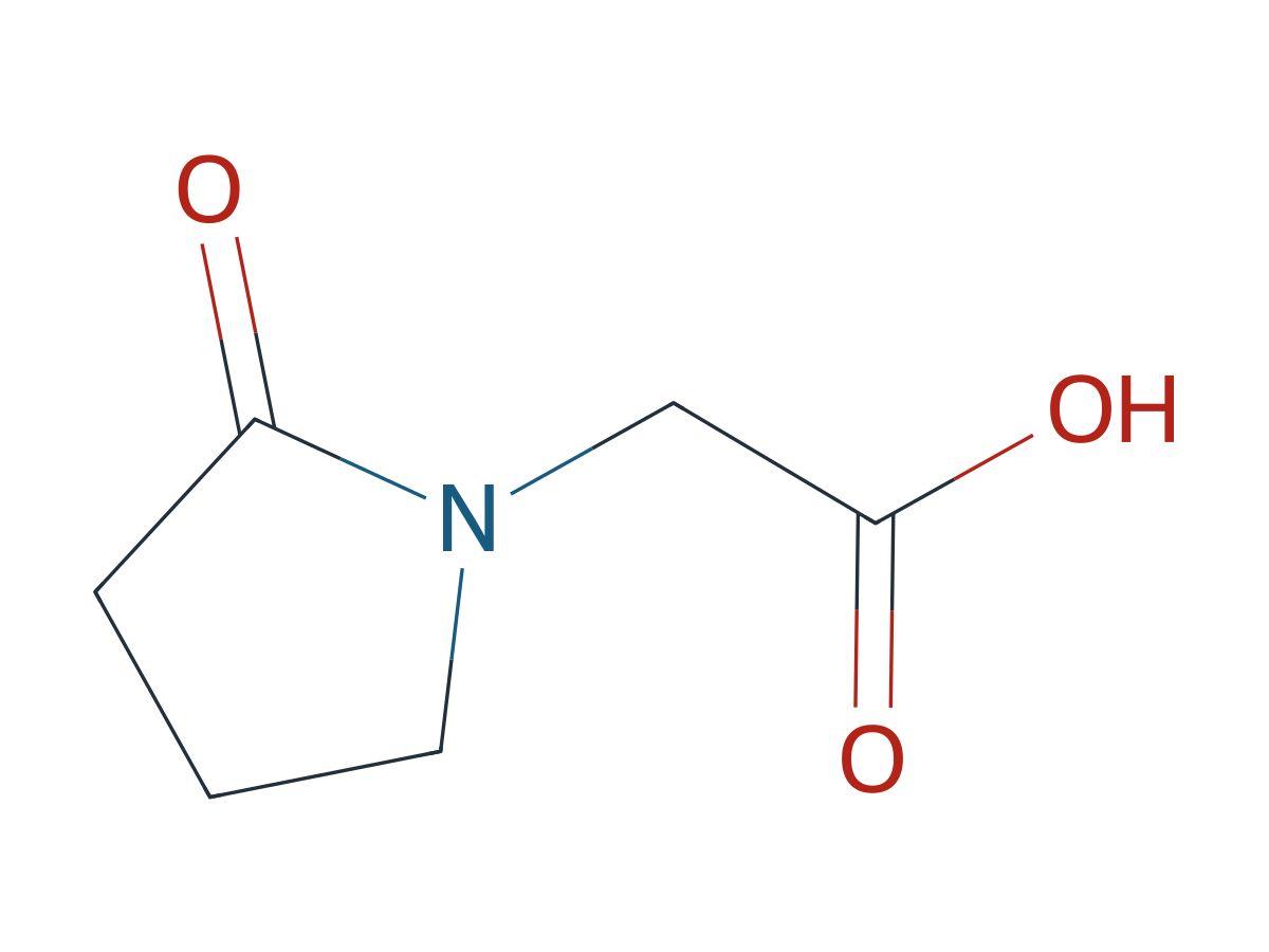 Piracetam EP Impurity D chemical structure