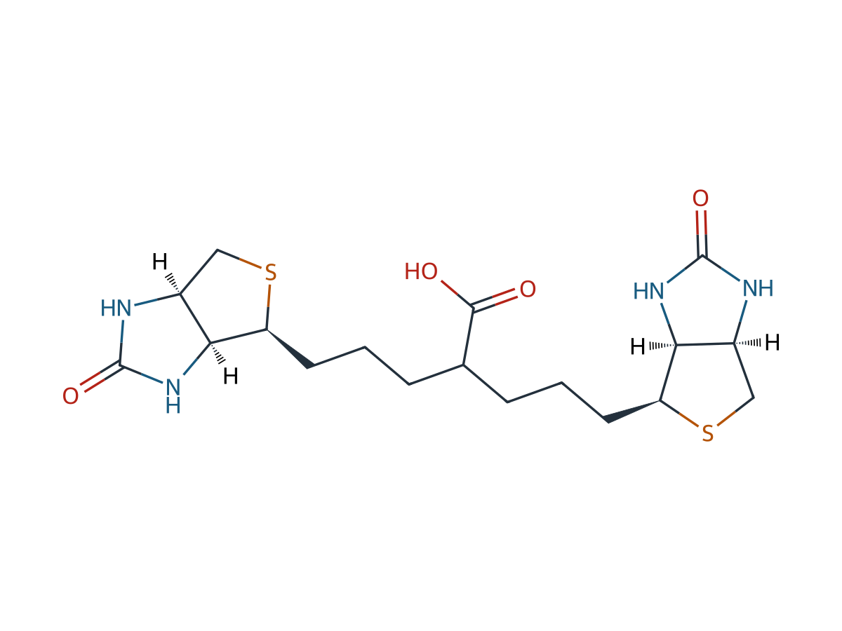 Biotin EP Impurity A chemical structure