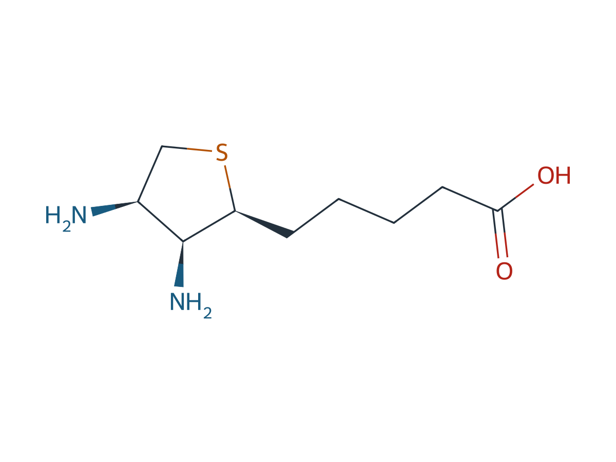Biotin EP Impurity C chemical structure