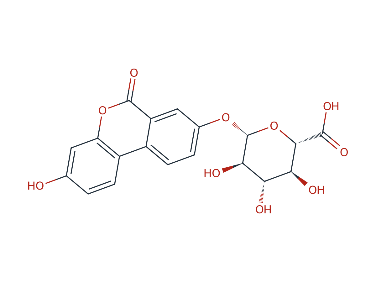 Urolithin A Glucuronide chemical structure
