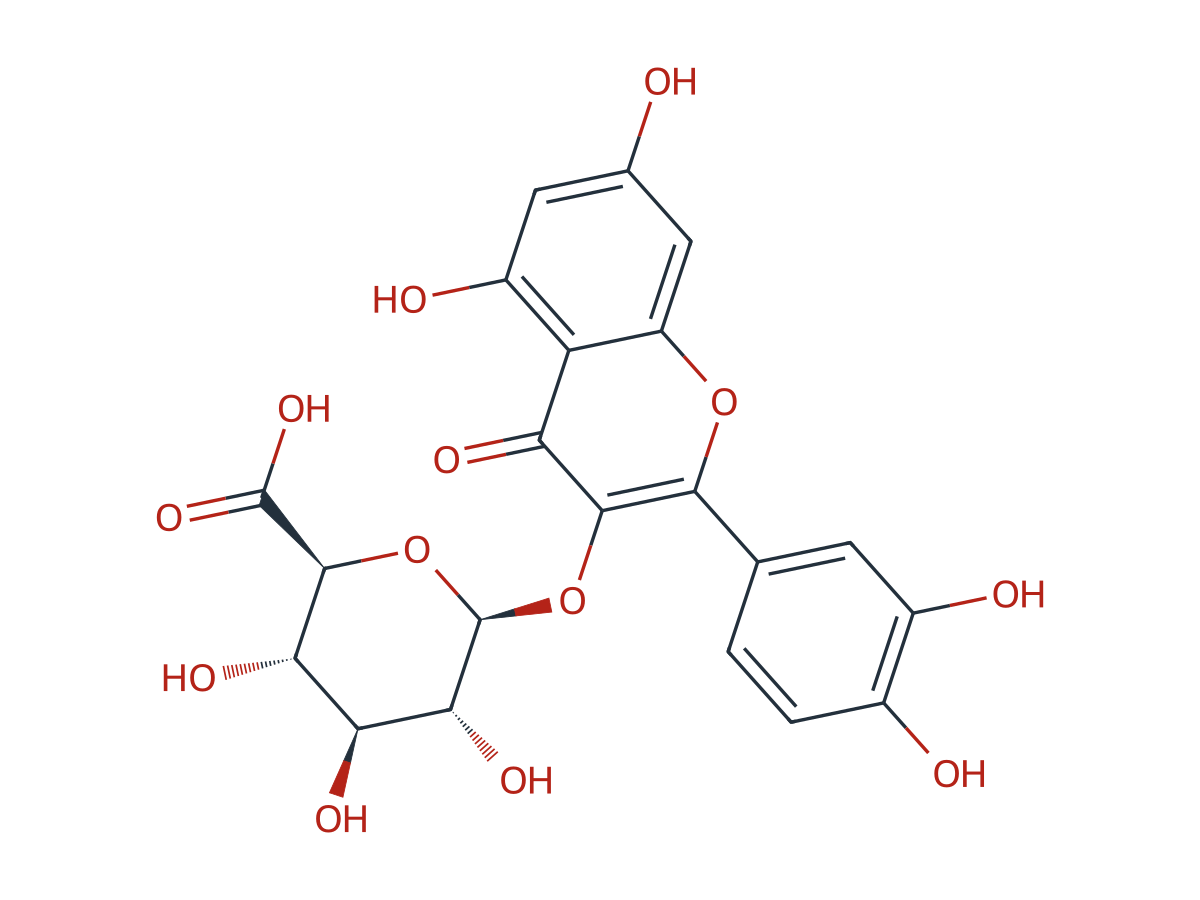 Quercetin 3-O-β-D-glucuronide chemical structure