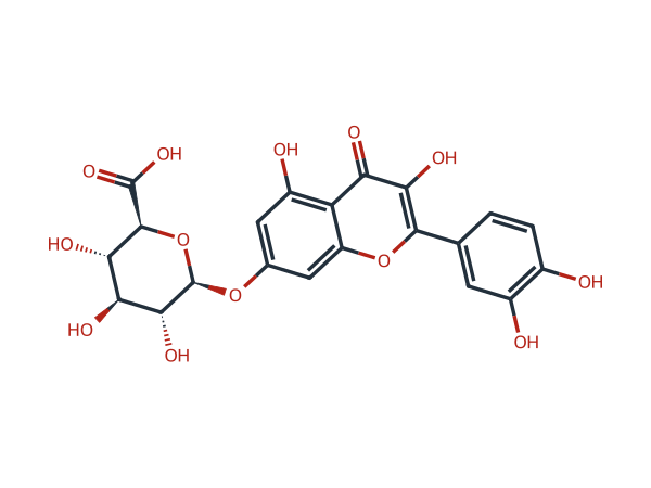 Quercetin-7-O-glucuronide chemical structure