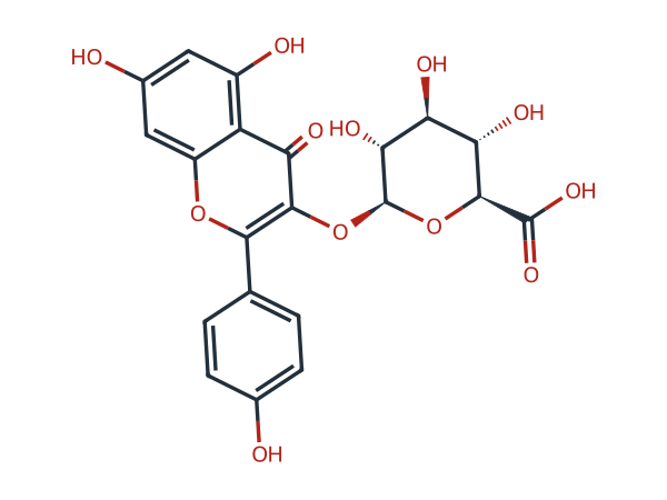 Kaempferol-3-Glucuronide chemical structure