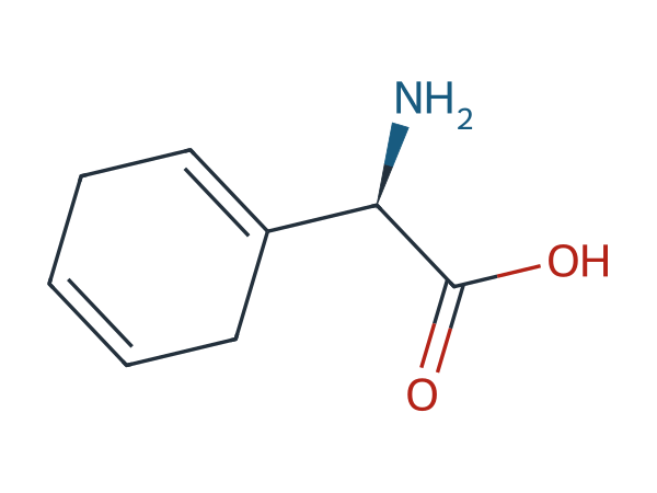 Cefradine EP Impurity B chemical structure