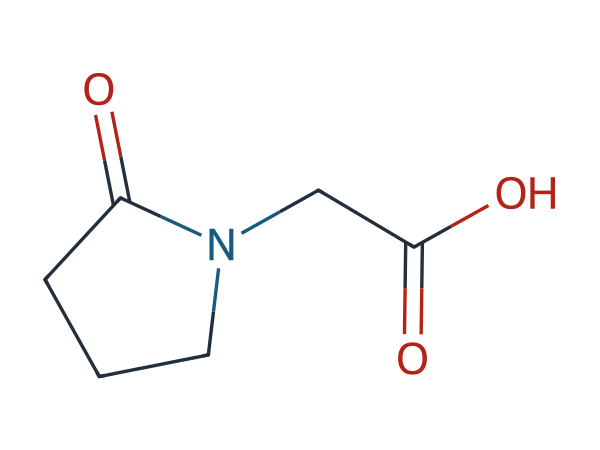 Piracetam EP Impurity D chemical structure