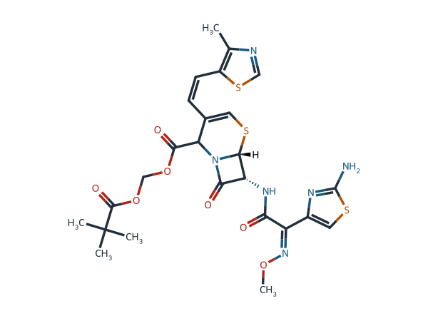 Cefditoren Impurity 1 chemical structure