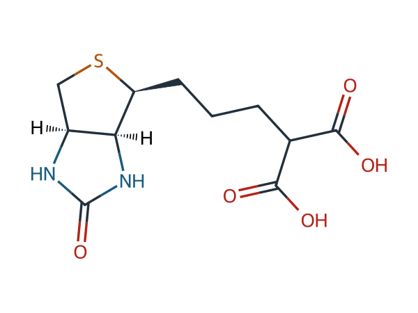 Biotin EP Impurity B chemical structure