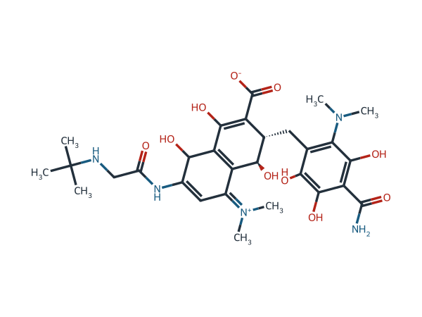 Tigecycline EP Impurity D(Tigecycline USP related compound A) chemical structure