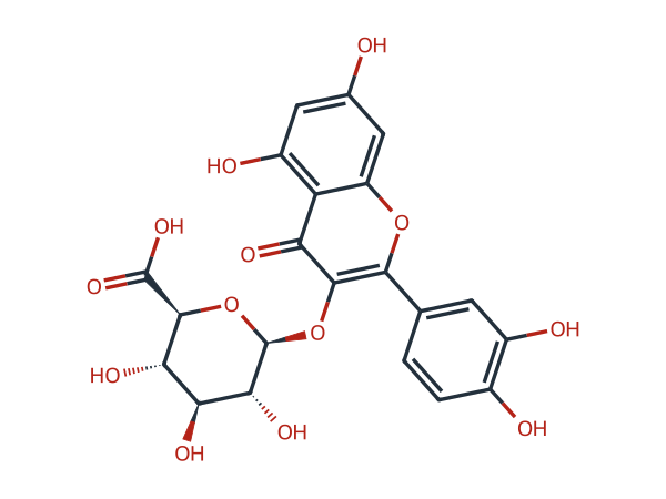 Quercetin 3-O-β-D-glucuronide chemical structure